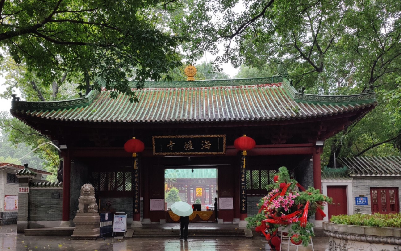 闲看庭前冬雨滴落,海幢寺聆听羊城的第一场冬雨.