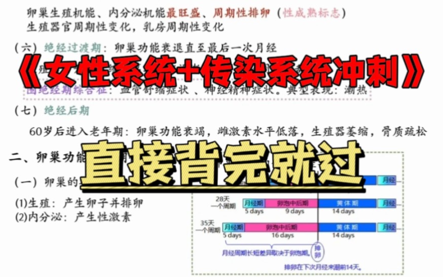 [图]【执业医师及执业助理医师笔试考试笔记考点冲刺】女性生殖系统+传染系统学笔记背考点大学生女性生殖系统+传染系统学快速背诵复习大学生期末考试女性生殖系统+传染系统学