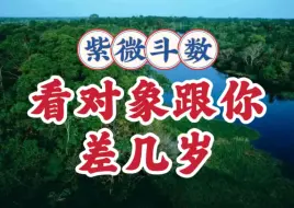 Download Video: 看对象跟你差几岁？紫微斗数与八字案例讲解。武曲贪狼，廉贞七杀，破军天府天相，天同巨门，天机天梁，太阳太阴。