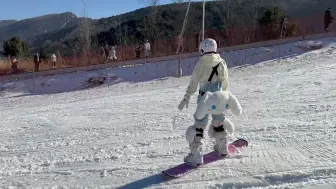 下载视频: 滑雪教练在中级道被不会滑雪的鱼雷创飞第一视角拍摄