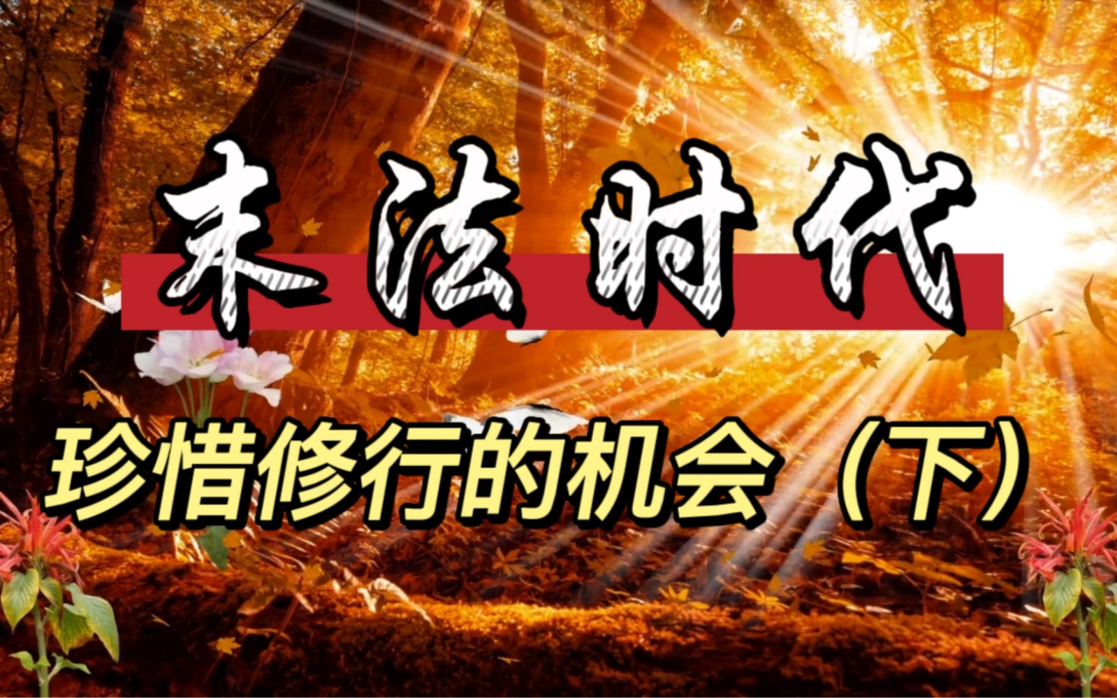 末法时代,珍惜修行的机会(下)