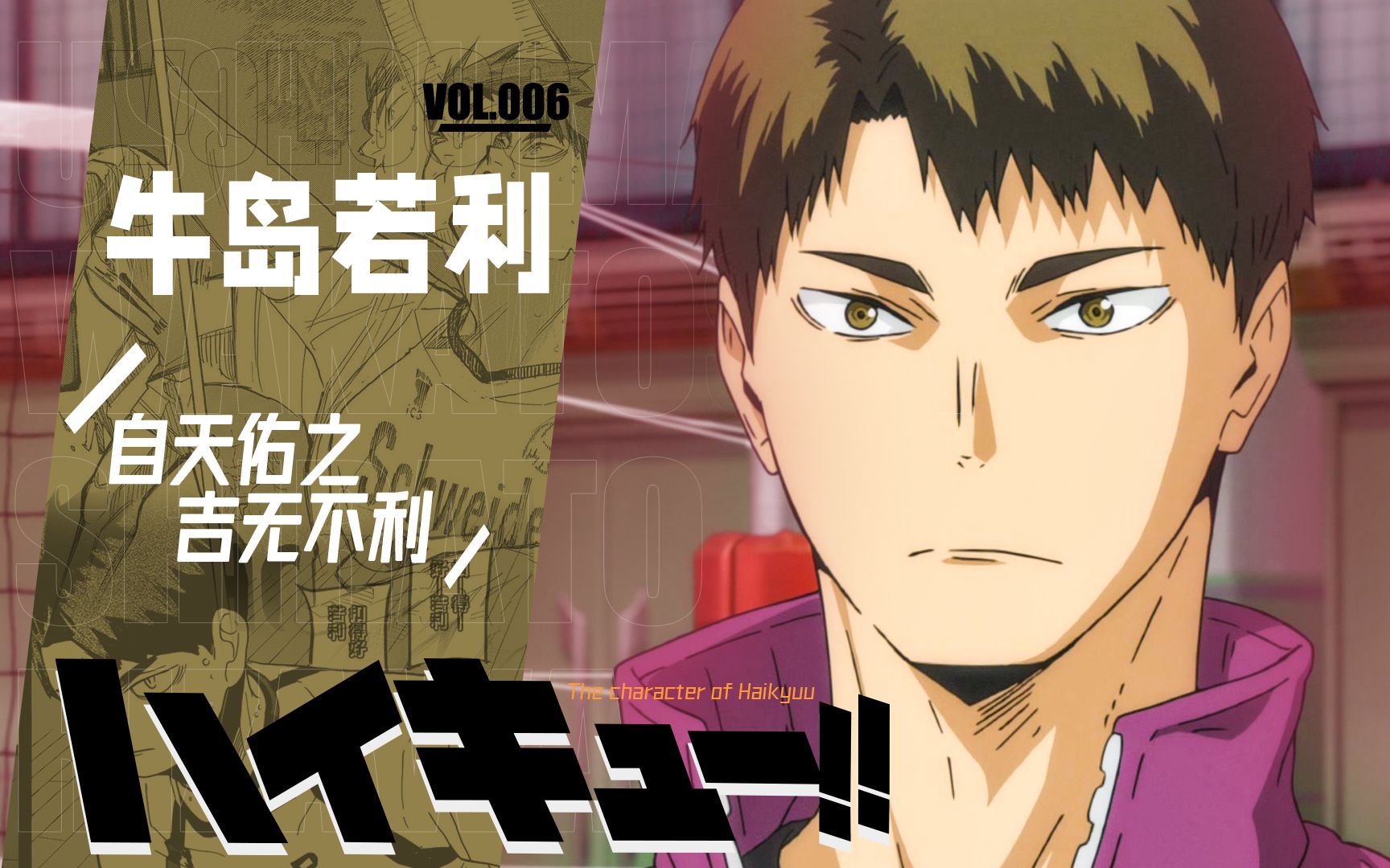 排球少年志丨牛岛若利传:天佑的王牌