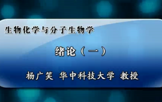 【大学专业课】生物化学与分子生物学 华中科技大学 杨广笑哔哩哔哩bilibili