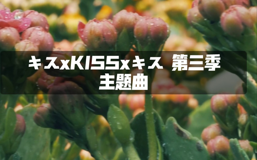 [图]【自制MV】キスの前みたいに (宛如亲吻前)，视频不重要，主要是听歌，太好听了!!!