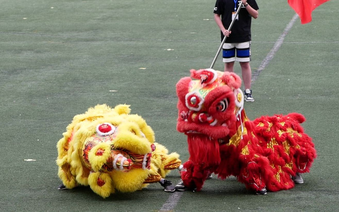 哈工大威海2021运动会舞狮篇