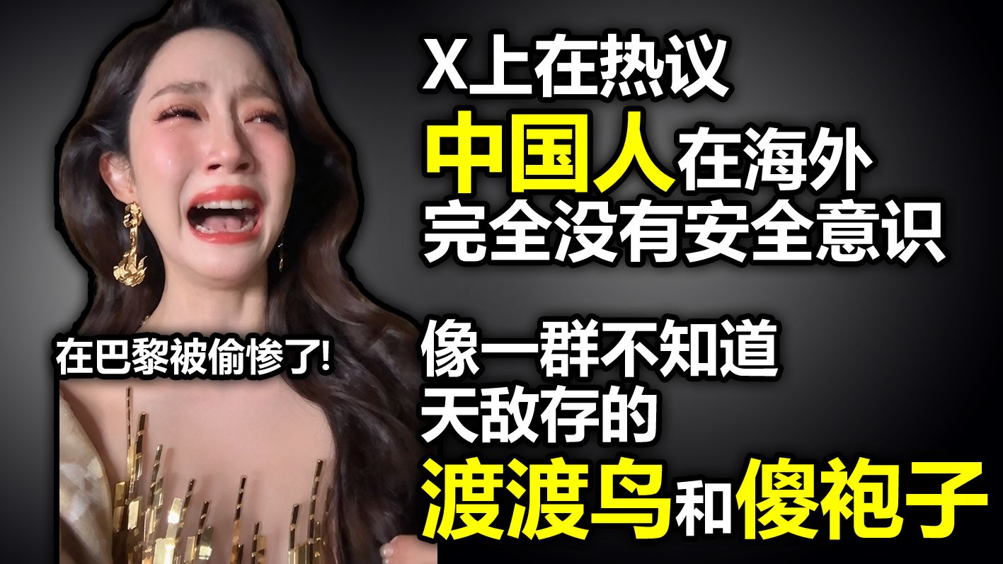 X上在热议中国人在海外完全没有安全意识：“中国人就像一群不知道天敌存在的渡渡鸟和傻袍子”