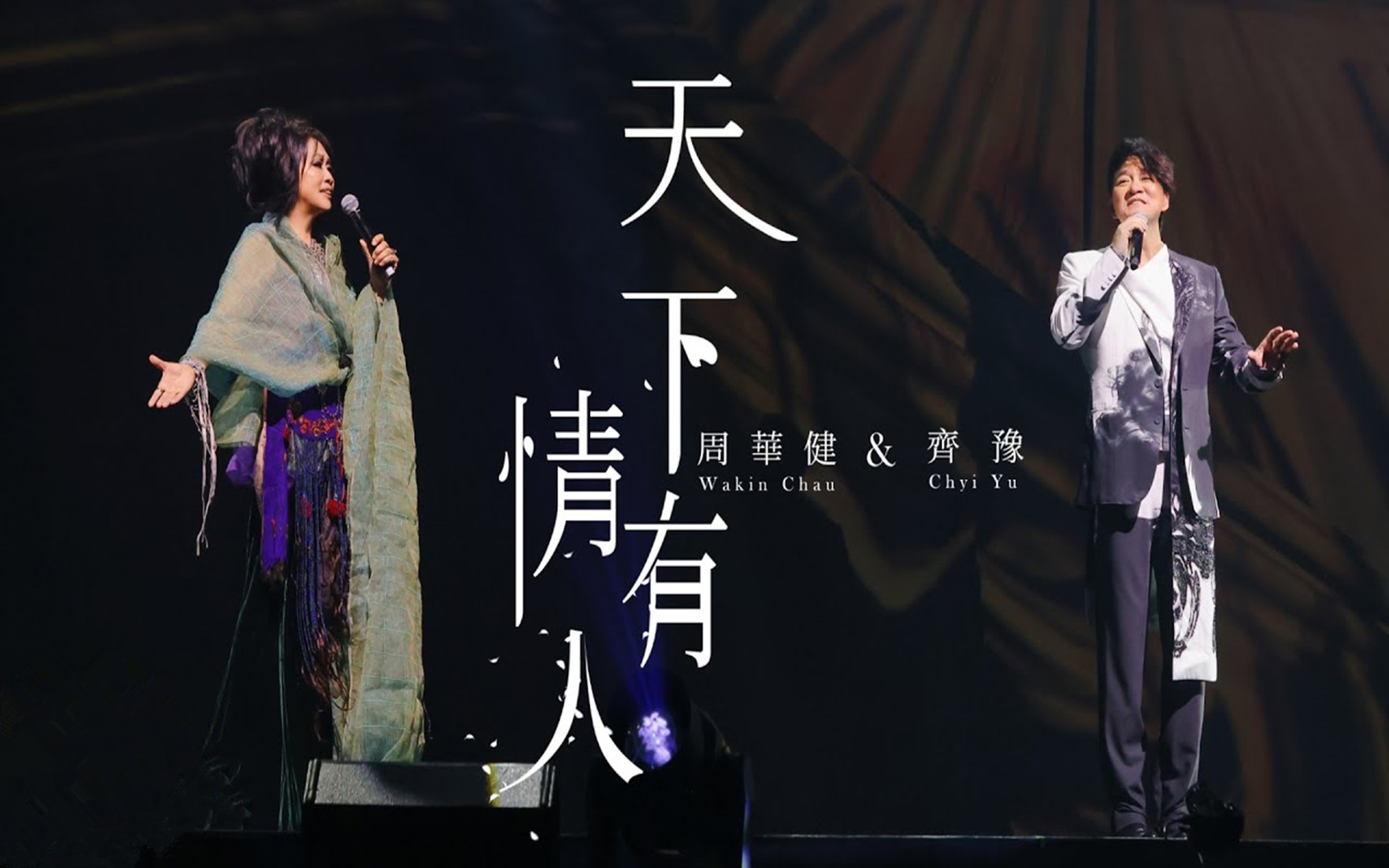 周华健齐豫天下有情人台北小巨蛋live版