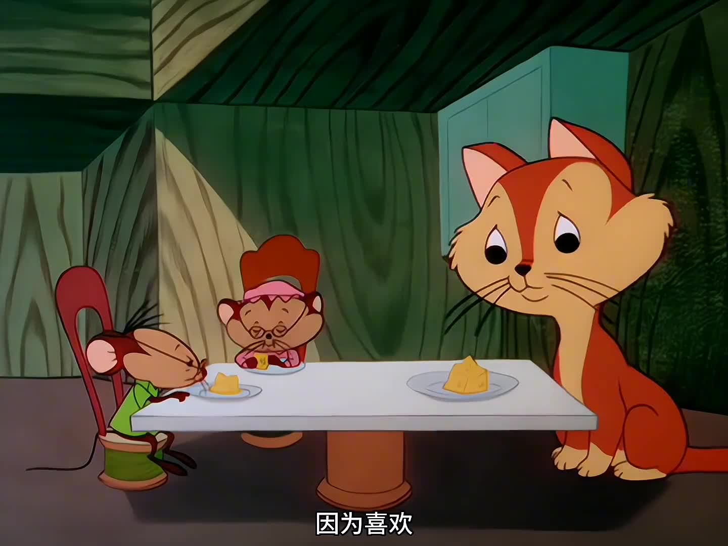 鼠妈养了一只流浪猫当儿子,猫和老鼠能否和平相处?