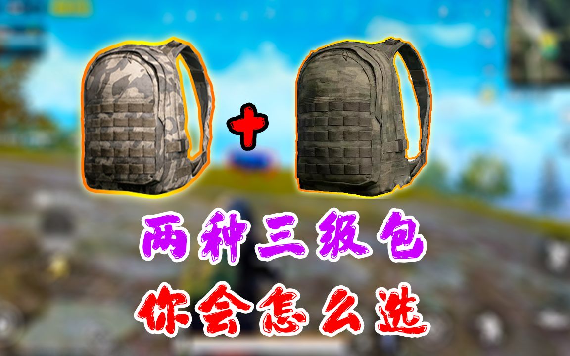 刺激战场两种款式的三级包怎么选原来这种颜色的三级包很稀有