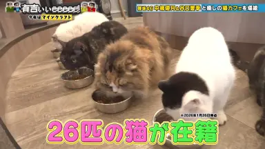 中嶋ミチヨ-哔哩哔哩_Bilibili