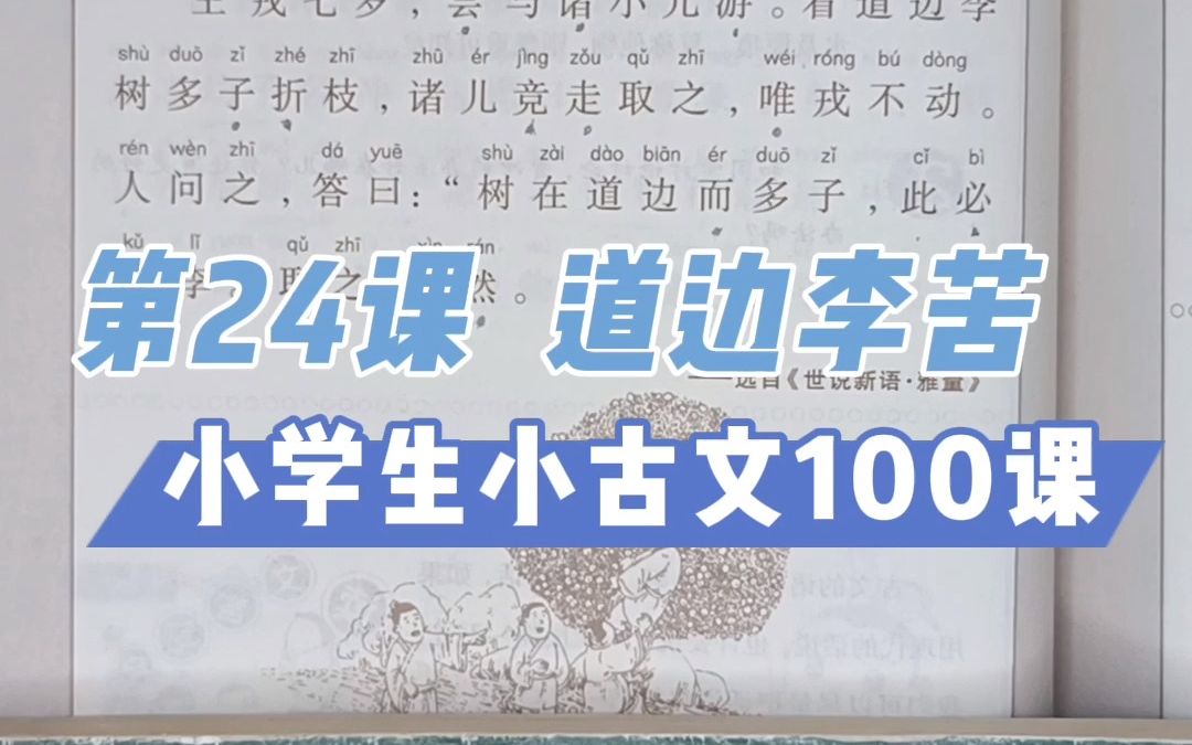 第24课 《道边李苦》不认识的野果可不要随便吃哔哩哔哩bilibili