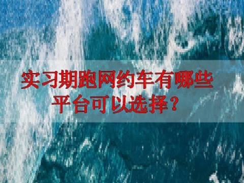 实习期司机跑网约车,哪个平台接单更容易?哔哩哔哩bilibili