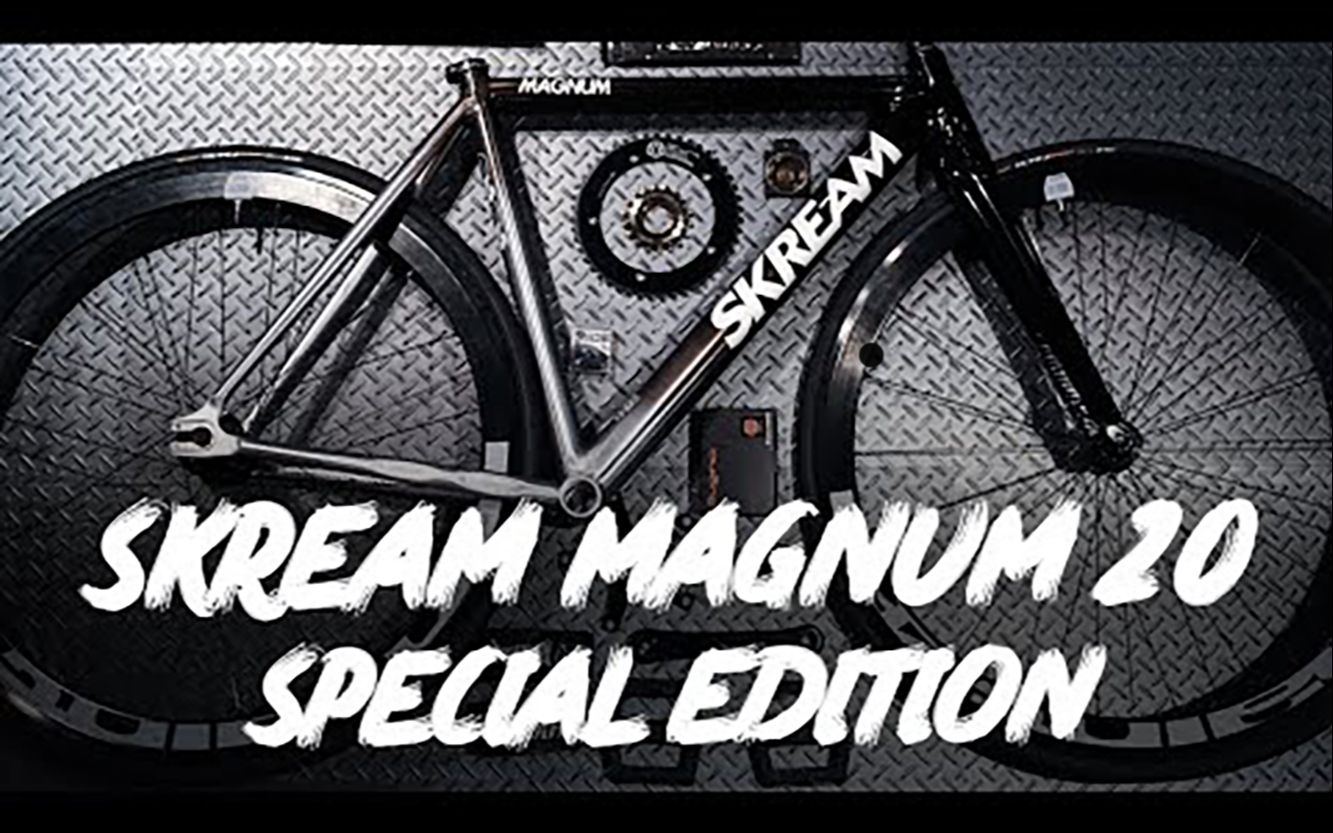 fixedgear死飞装车skreammagnum20specialedition