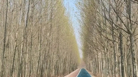 [图]同一条路的春夏秋冬