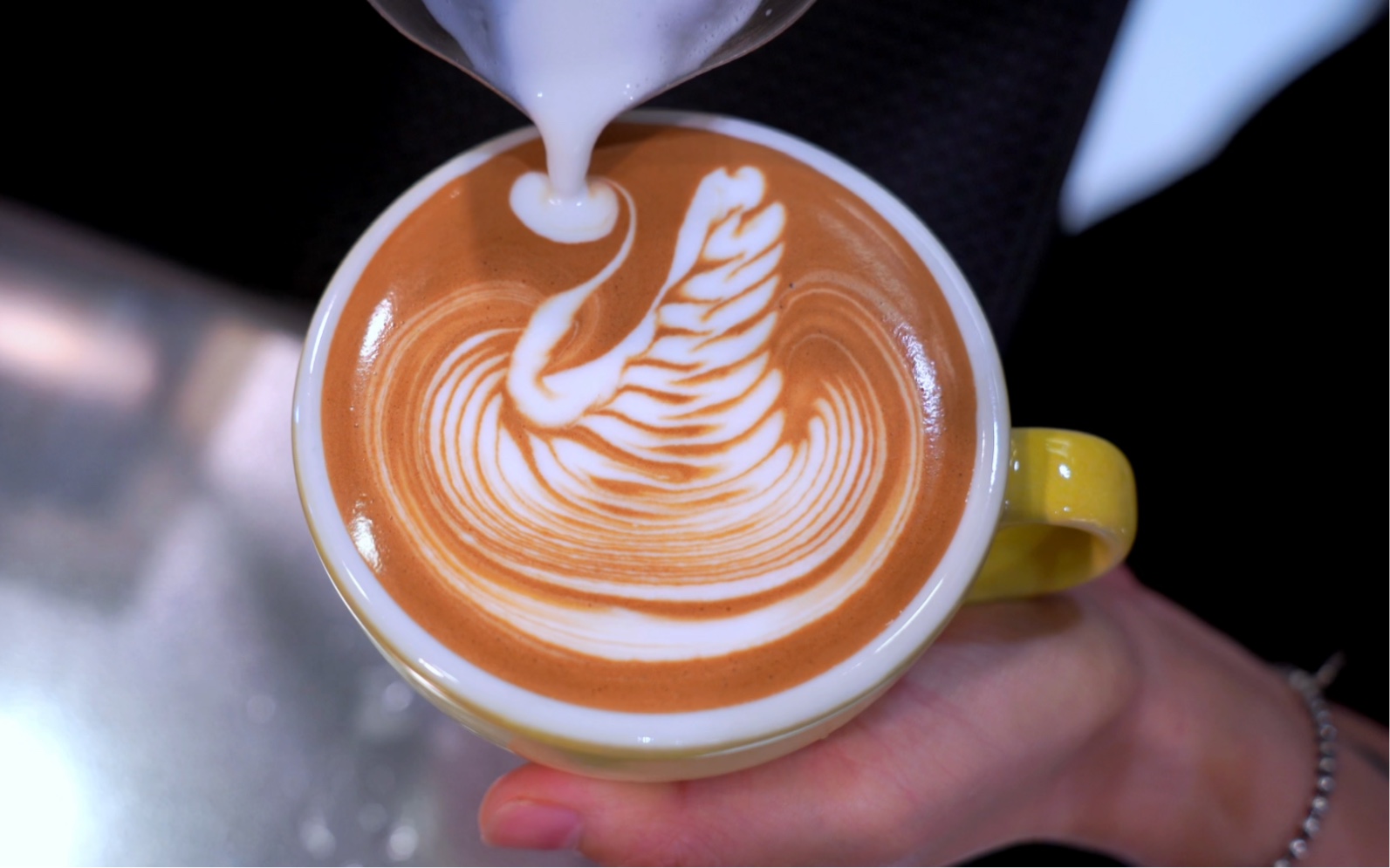 咖啡拉花|今日份的白边天鹅子