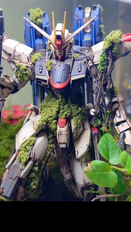 【高达】,【鱼缸造景】_哔哩哔哩_bilibili