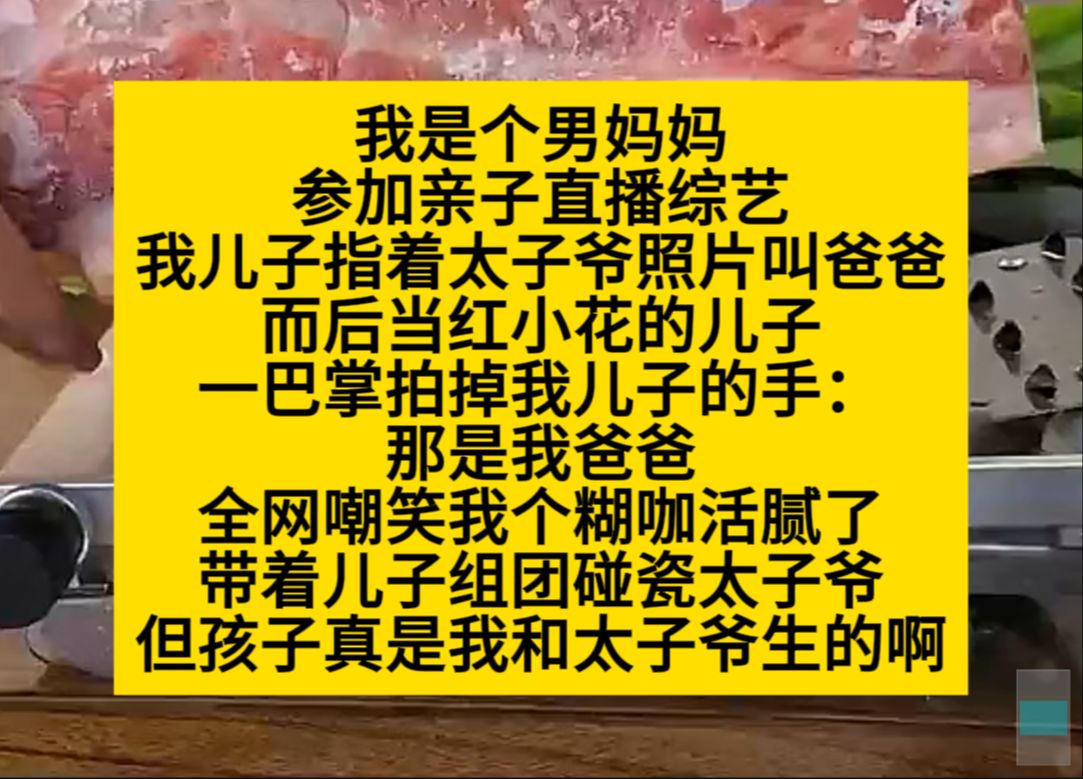 双男主 我是个男妈妈,带儿子上亲子综艺,儿子对着太子爷照片叫爸爸……小说推荐哔哩哔哩bilibili