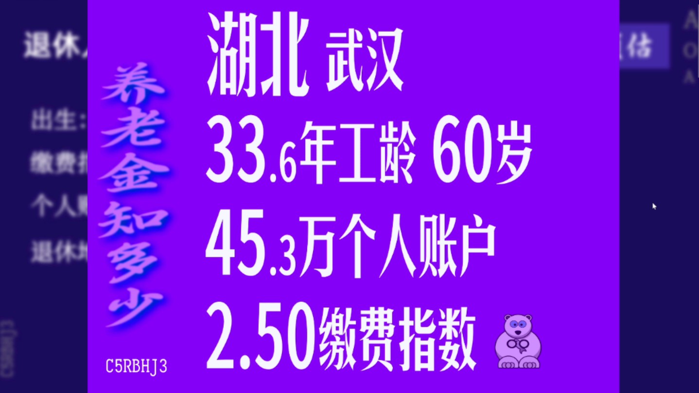 湖北武汉,工龄33.6年,个人账户45.3万,60岁退休养老金计算哔哩哔哩bilibili