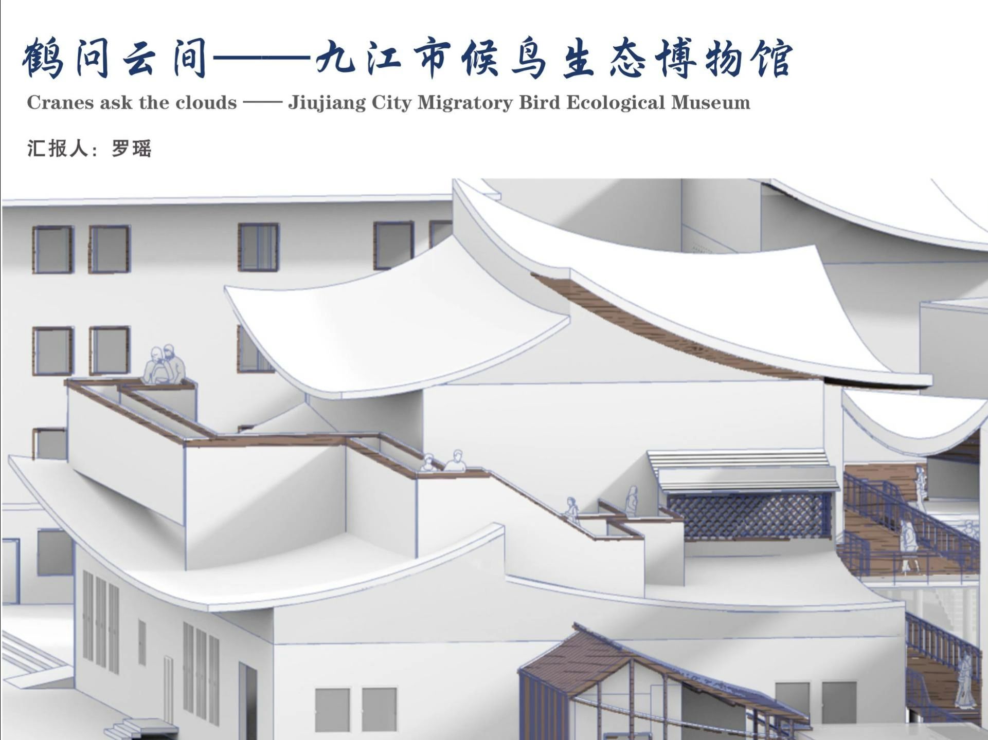 鹤问云间——九江市候鸟生态博物馆漫游视频
