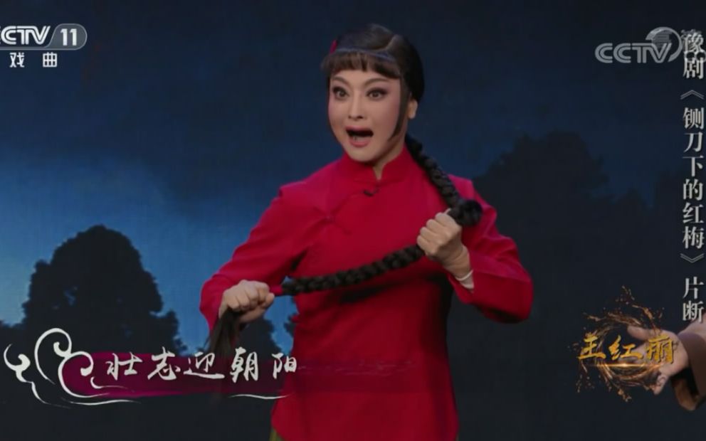 豫剧铡刀下的红梅片段演唱王红丽王素珍