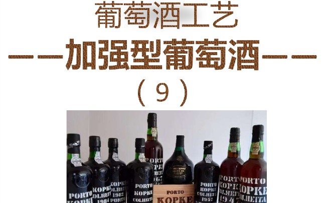 葡萄酒工艺——加强型葡萄酒(9)哔哩哔哩bilibili