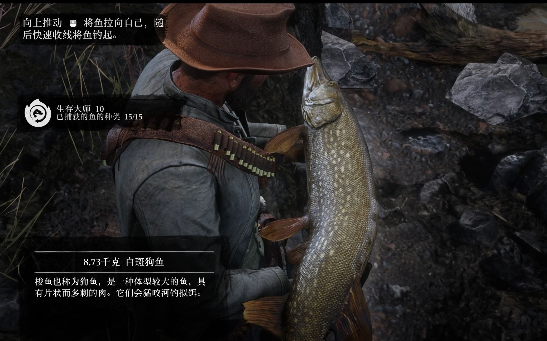 ep.128 全鱼类挑战⑤【荒野大镖客2】