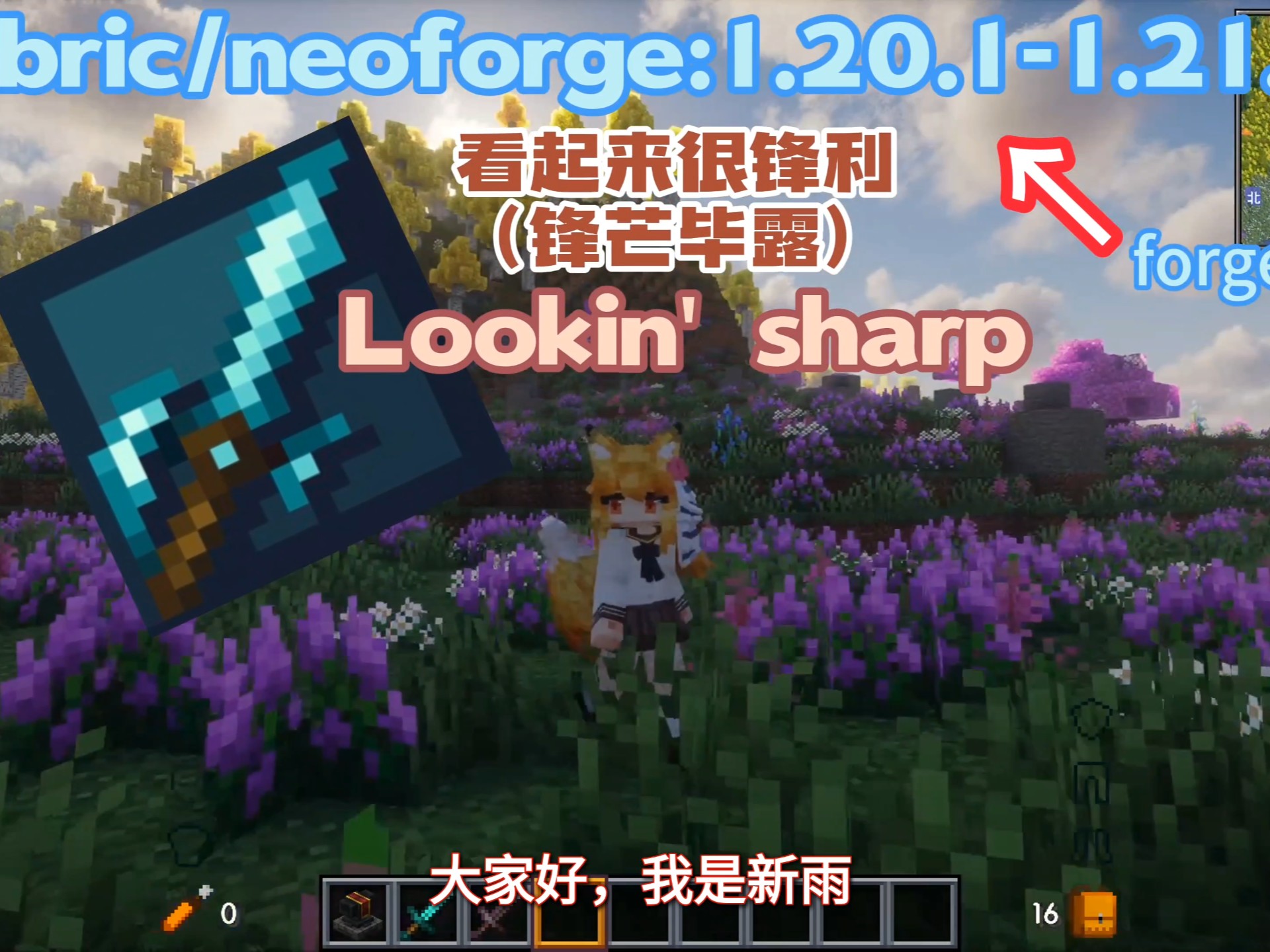 【我的世界】基于原版的武器模组,lookin’sharp(看起来很锋利/锋芒毕露)-戳戳戳可-整合包-哔哩哔哩视频