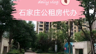 石家庄公租房服务哔哩哔哩bilibili