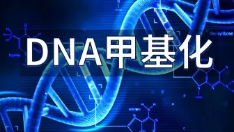 表观遗传系列-3. DNA甲基化：细胞的身份证
