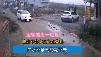 Download Video: 三轮车爆了一地鱼，看看车主会不会归为己有？