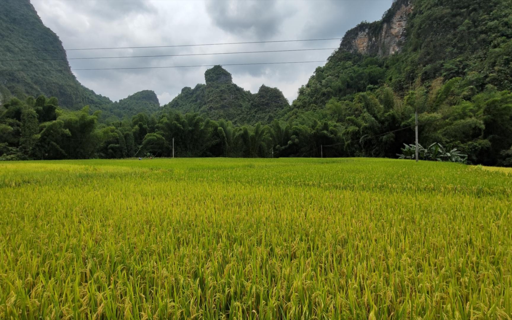 第84天.平孟镇-凭祥市,少有人走的沿边公路.