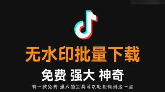 Download Video: 2024 抖音批量下载视频 抖音批量采集工具 抖音批量下载