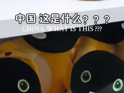 下载视频: 【tiktok】老外：中国 这是什么？？！