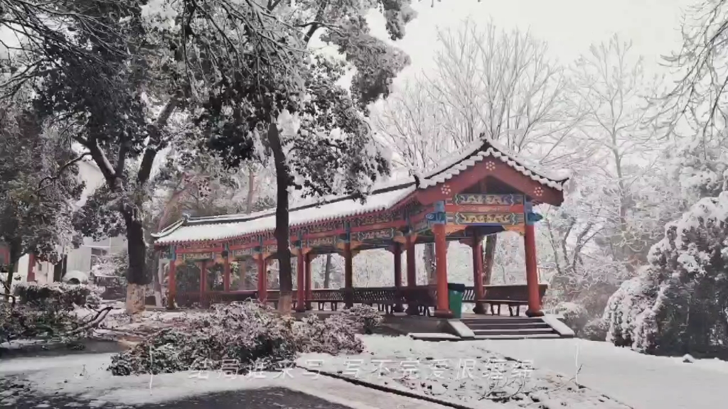 湖北生态工程职业技术学院雪景哔哩哔哩bilibili