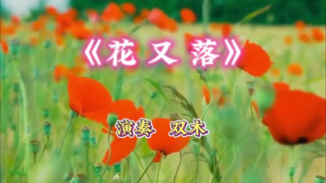 《花又落》,那年花开今又落,花开花落花凋零
