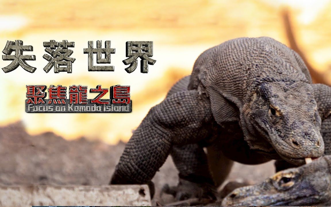 [图]失落世界【聚焦龙之岛】《聚焦全世界》第47期｜舒梦兰The Lost World-Focus on Komodo Island