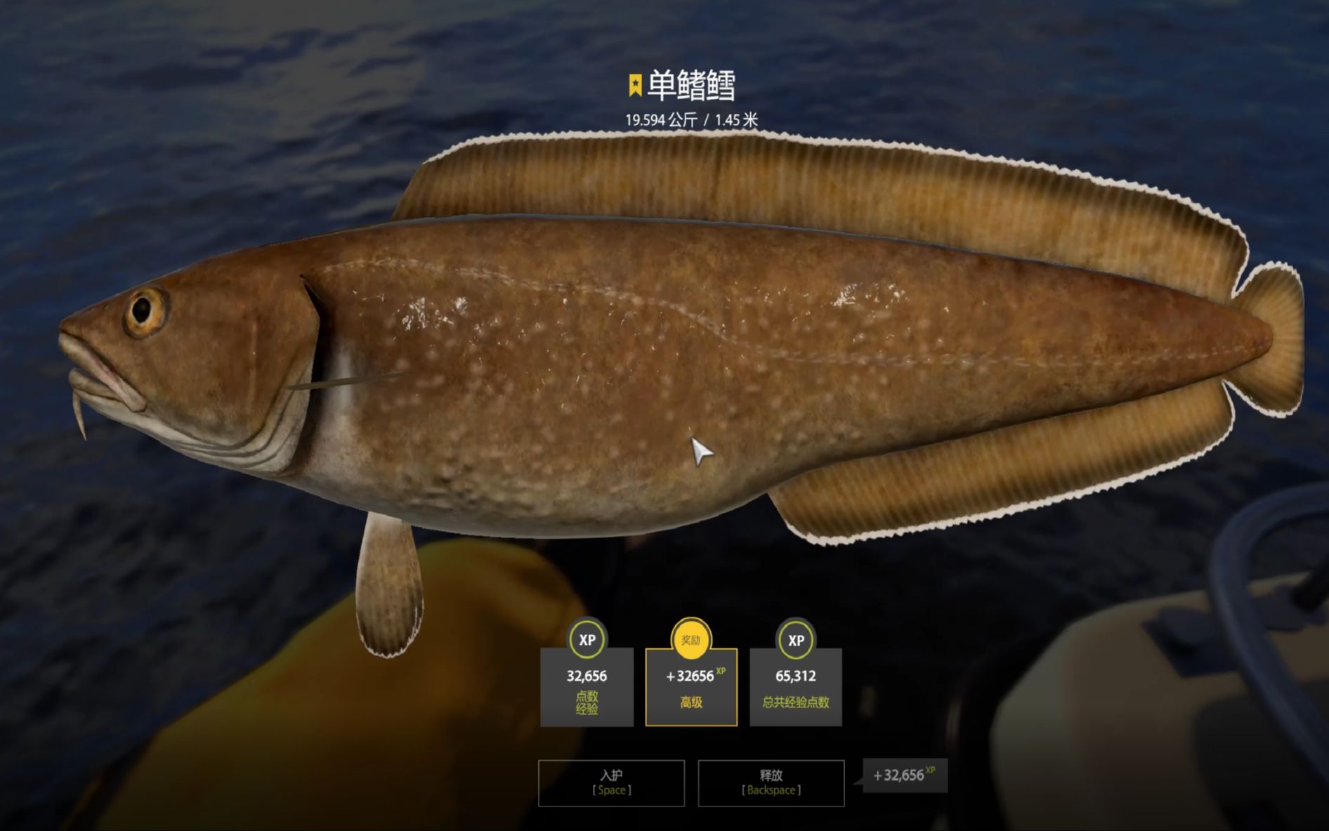 【挪威海】上星图鉴新记录-9-【单鳍鳕】