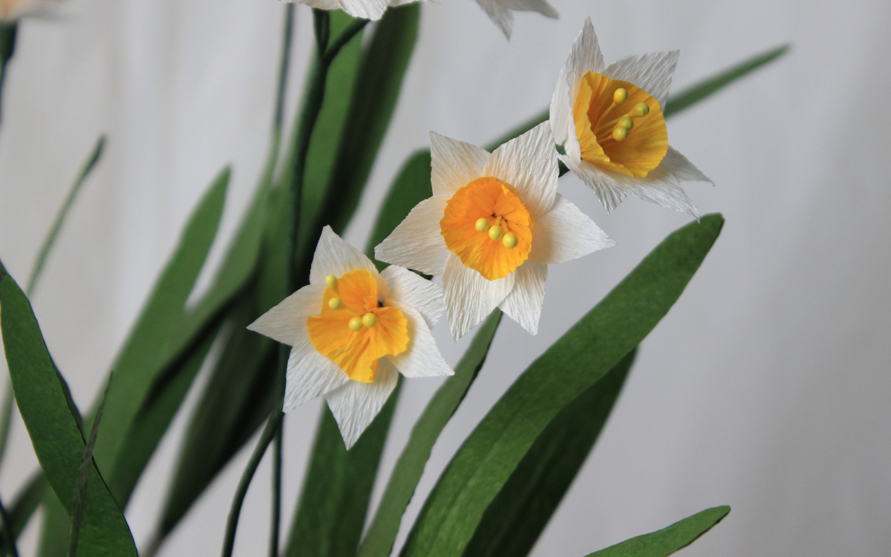 水仙花,皱纹纸制作,效果感觉还是不太好,学习中_哔哩哔哩 (゜-゜)つロ