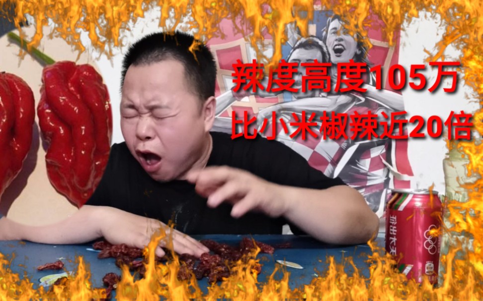 小伙作死挑战魔鬼辣椒辣度高达105万吃完11个小坏反应太恐怖了