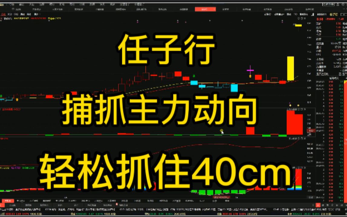 任子行,学会技巧捕抓主力动向,轻松抓住40cm大肉哔哩哔哩bilibili