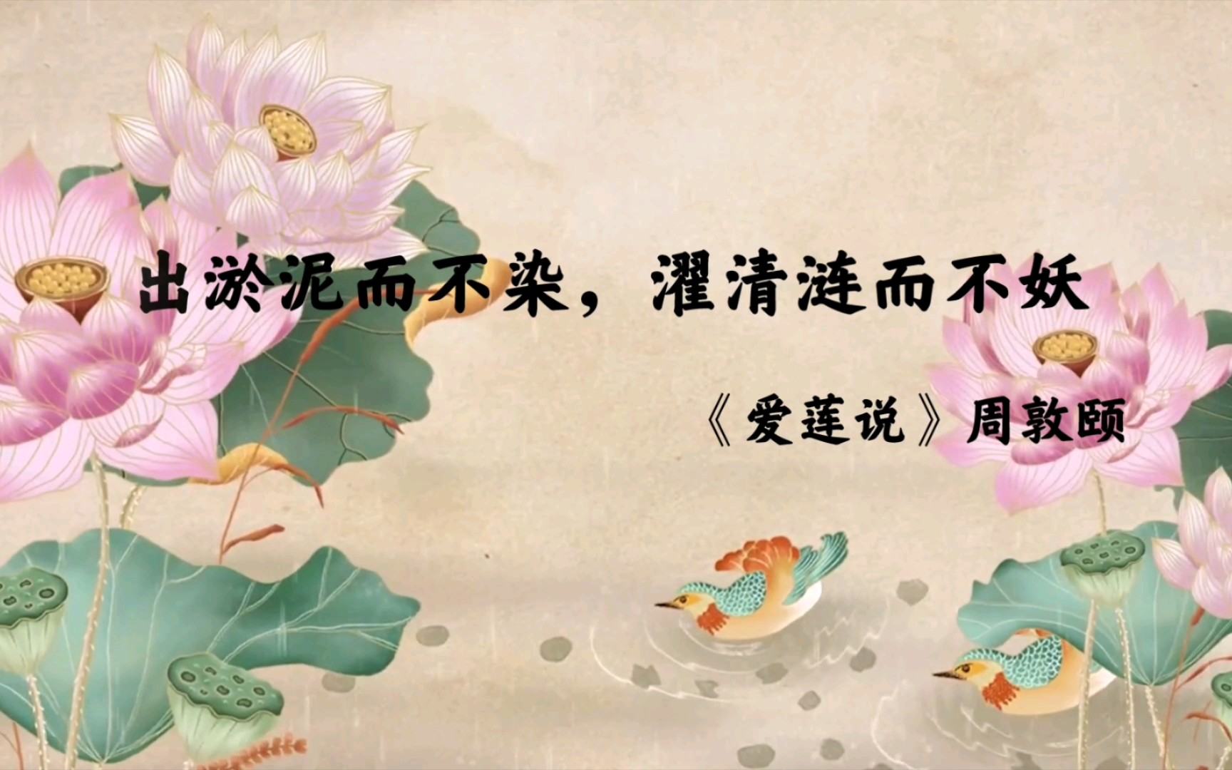 活动作品古诗词莲出淤泥而不染