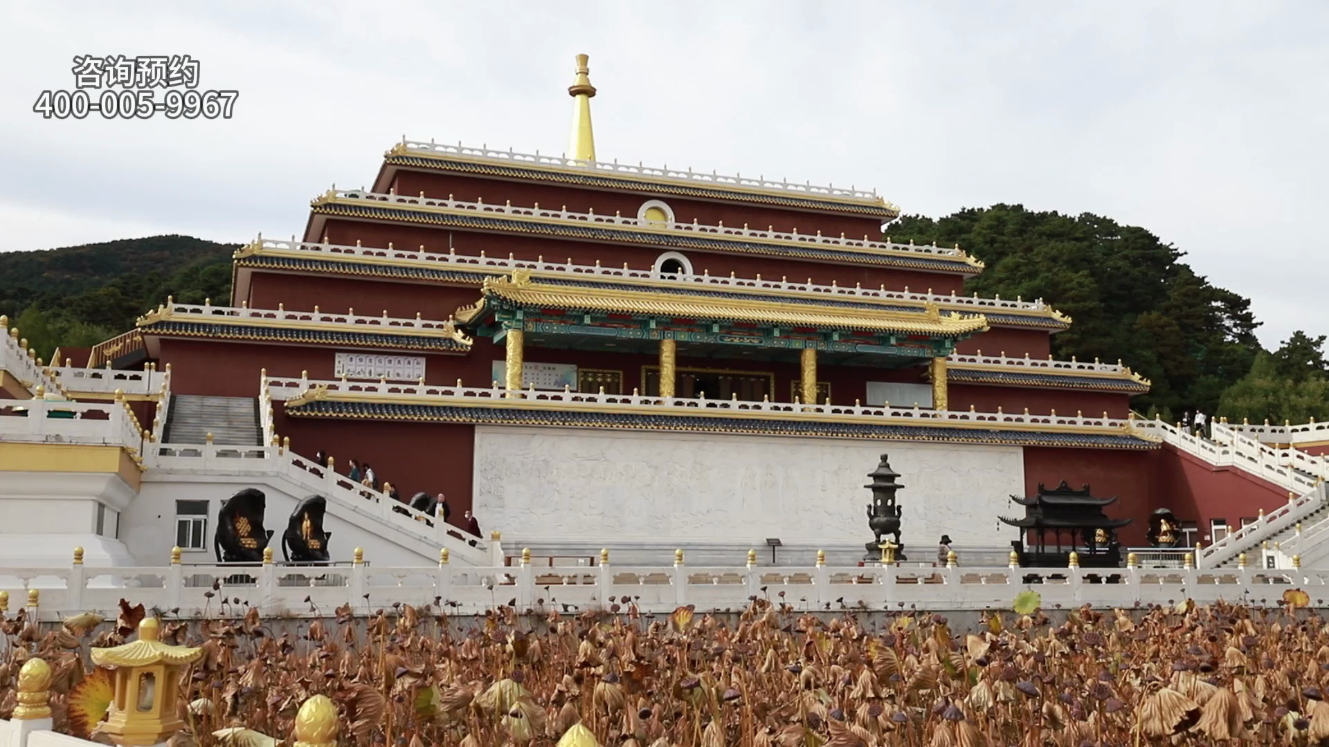 清东陵万佛园环境建设如何?