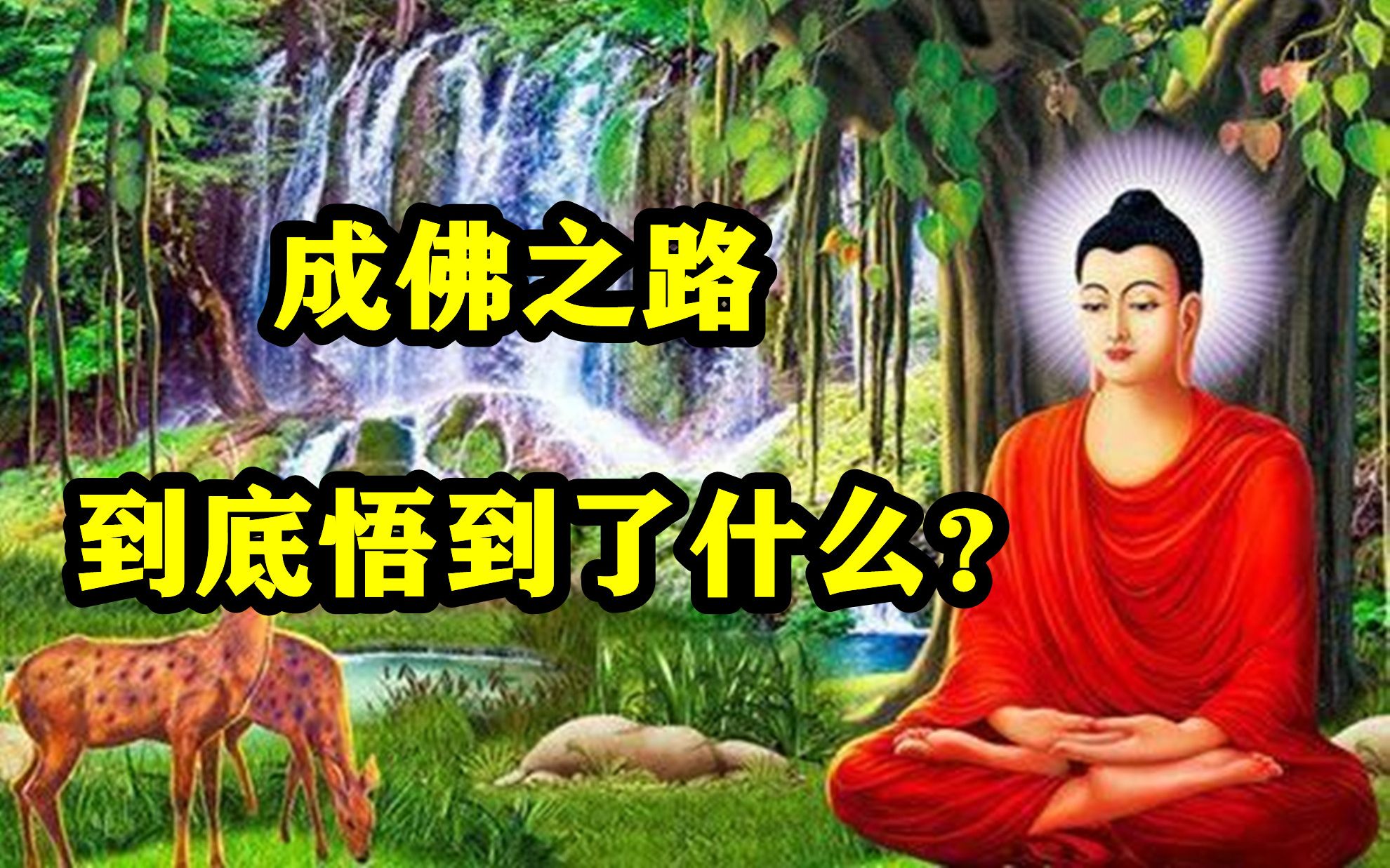 [图]释迦牟尼到底悟到了什么？ 可以成为第一个觉悟者，佛光照亮世界