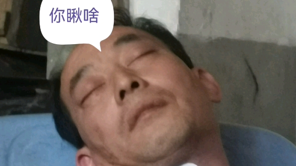 蹿磕睡的日常