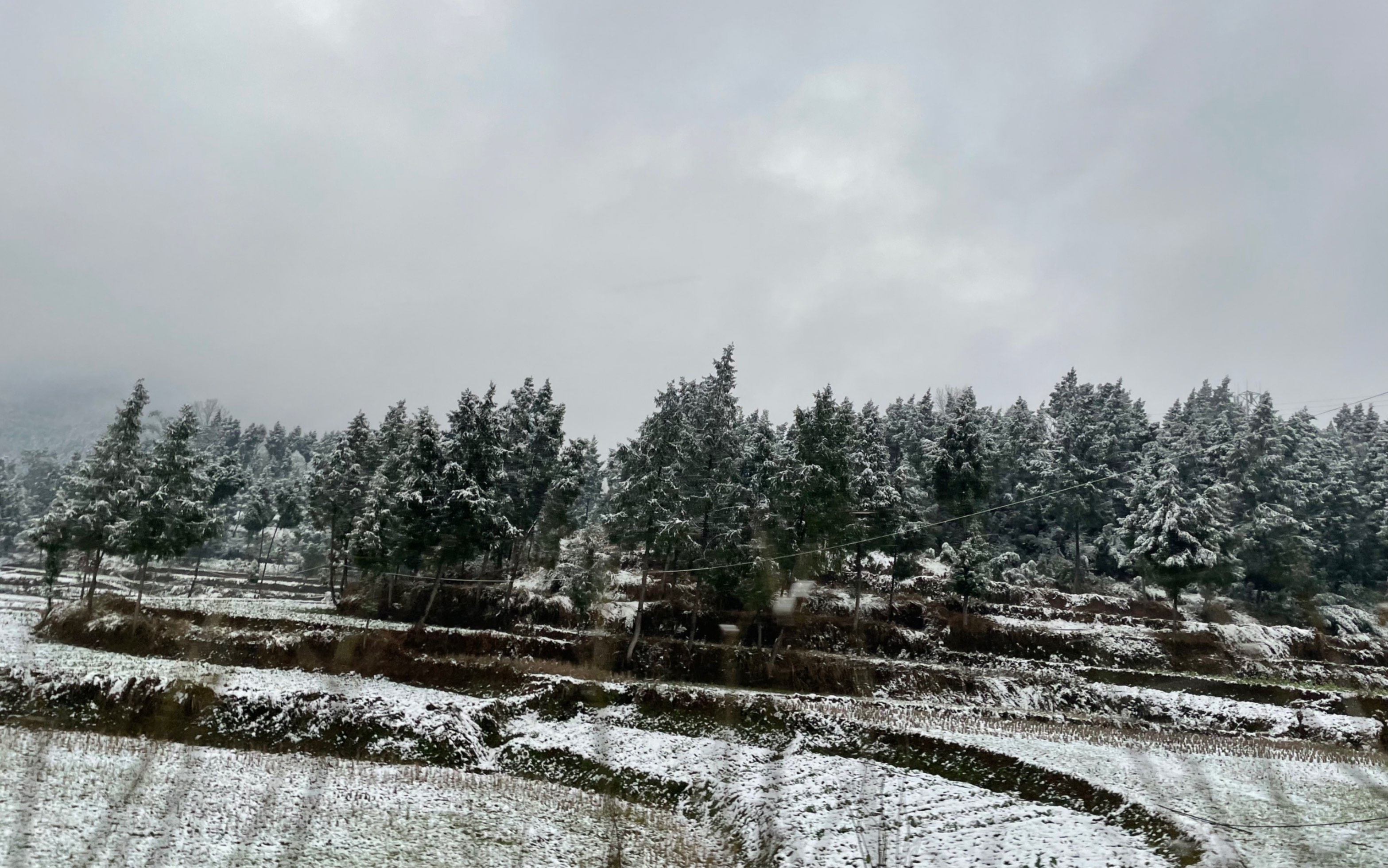 四川 南充 雪