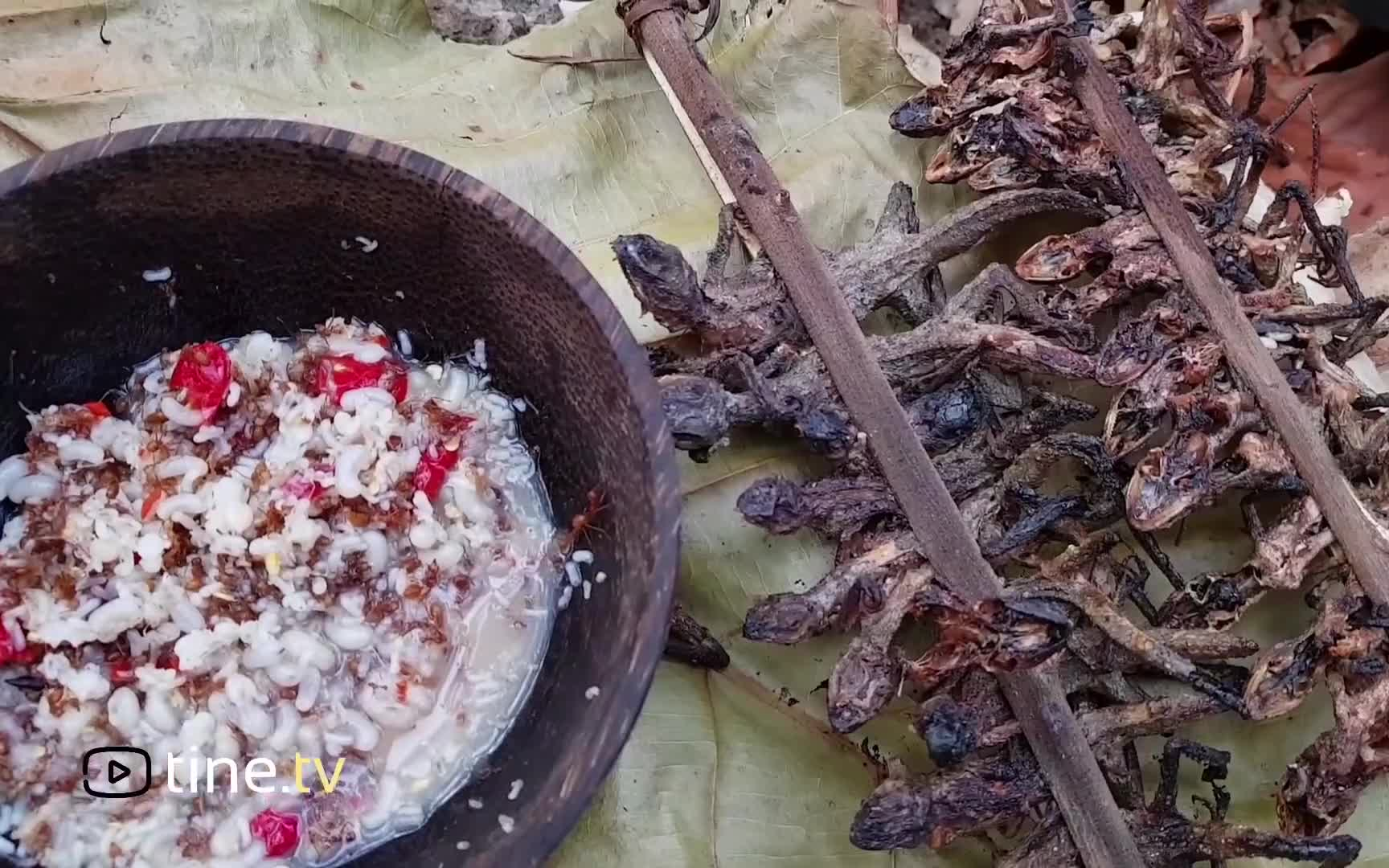 烤变色龙蘸蚂蚁酱吃