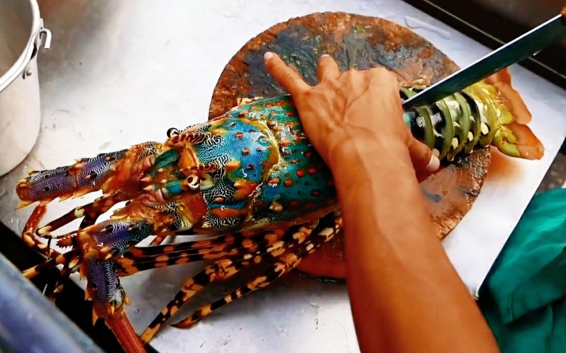 泰国街头巨大五彩龙虾一只手都抓不下