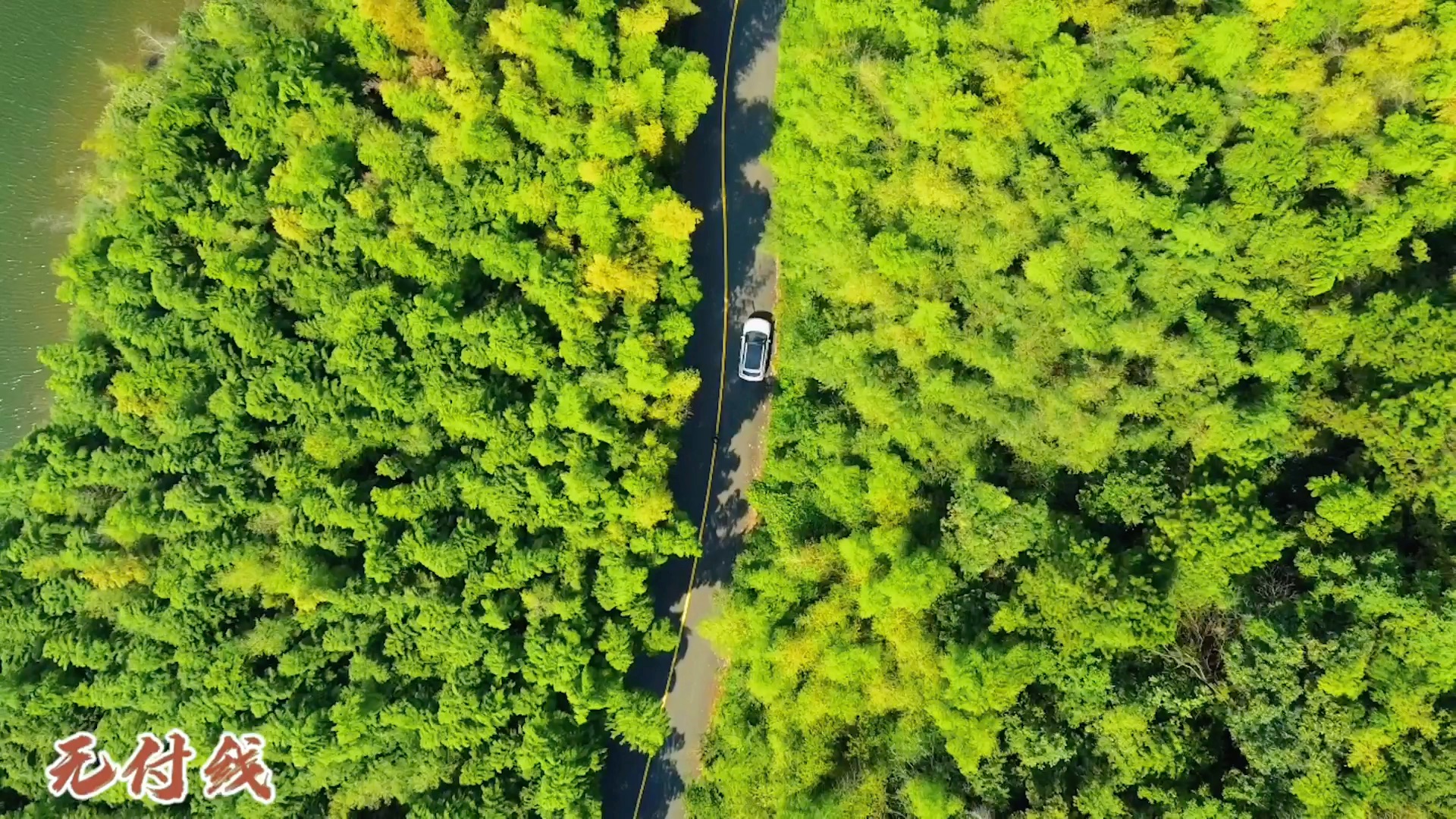 [图]发现秋日绝美公路，就在南京溧水无想山