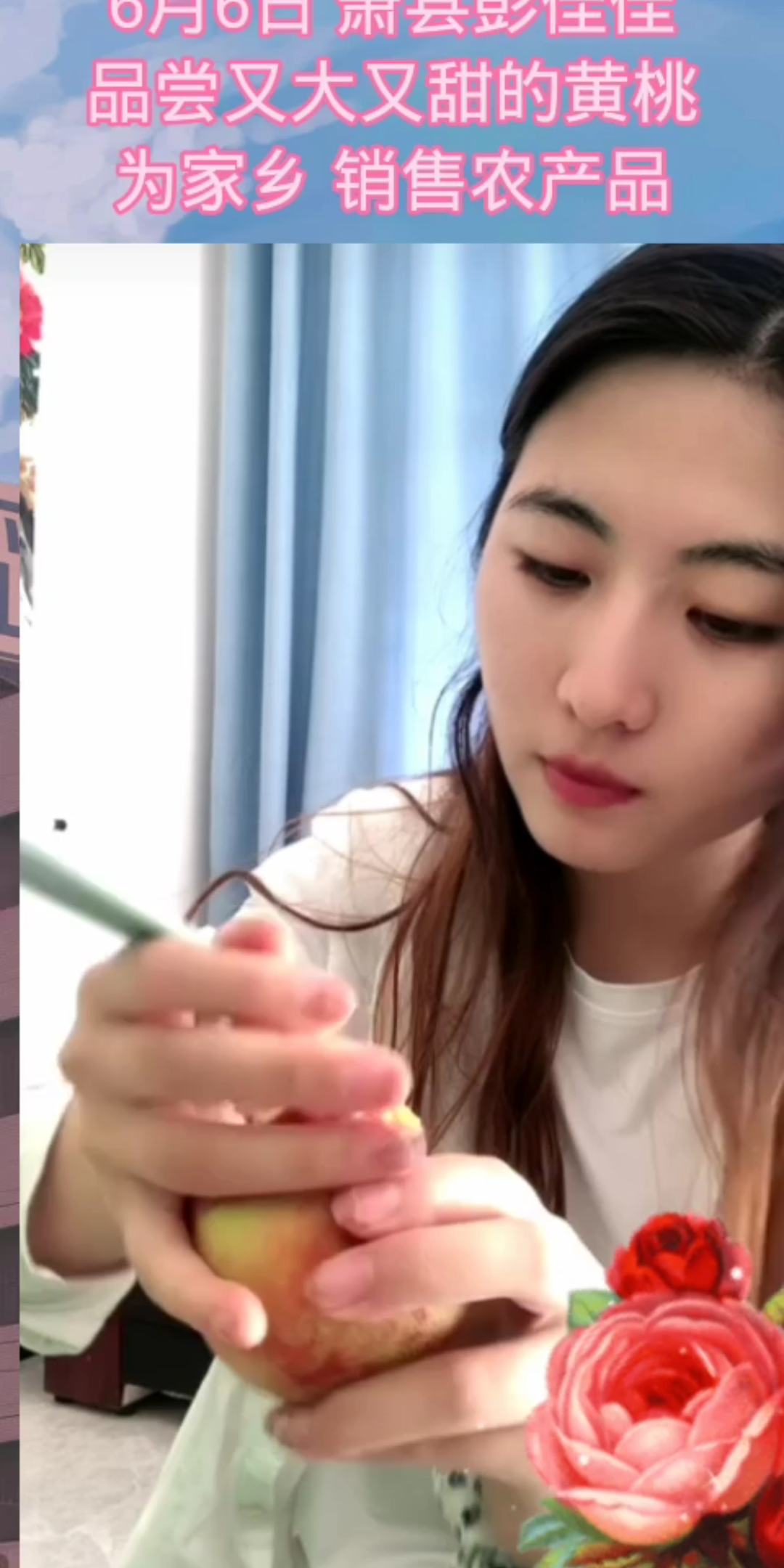 萧县彭佳佳品尝黄桃为家乡销售农产品仙桃之恋