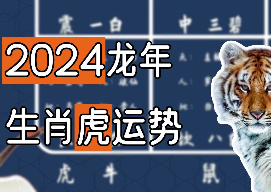 2024年生肖虎运势详解 74 86 98年出生尤其要注意!哔哩哔哩bilibili